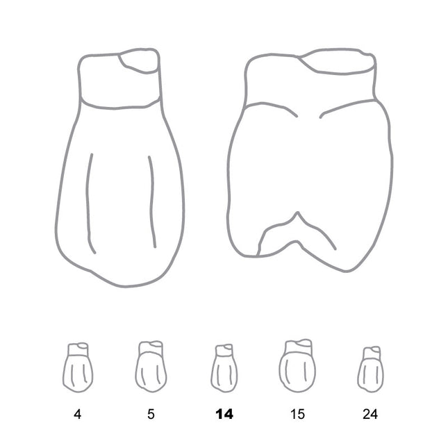 Odus Pella Transparent Crown Forms Bi-Cuspids 14 