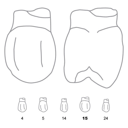 Odus Pella Transparent Crown Forms Bi-Cuspids 15 