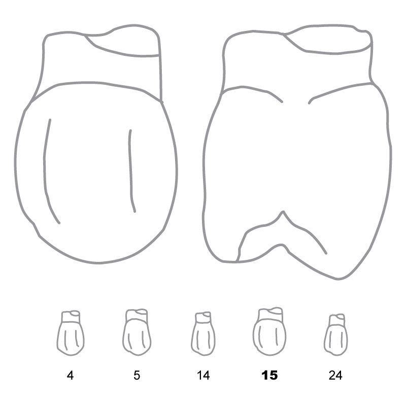 Odus Pella Transparent Crown Forms Bi-Cuspids 15 