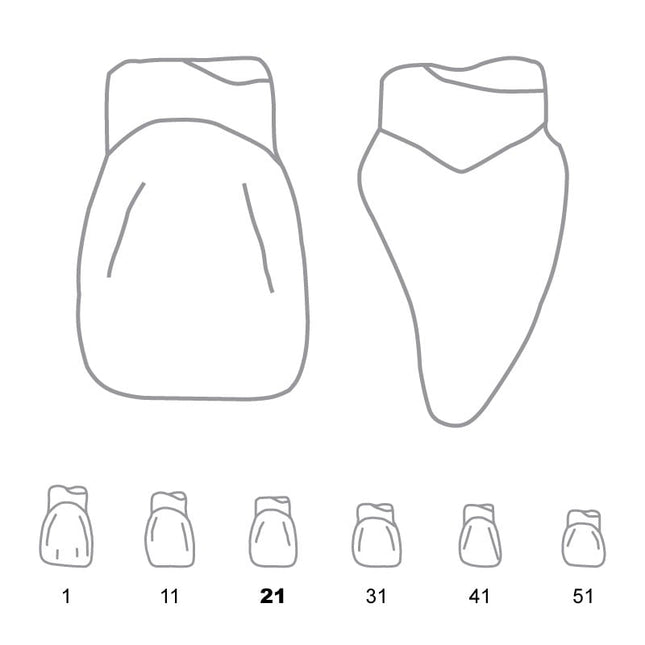 Odus Pella Transparent Crown Forms Centrals 21 