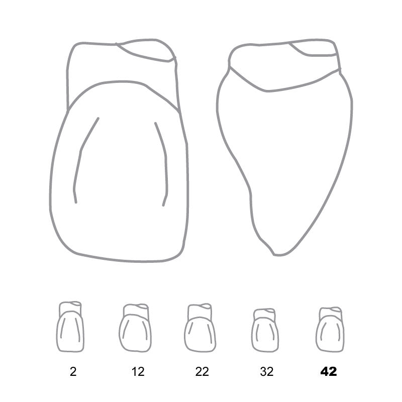Odus Pella Transparent Crown Forms Laterals 42 