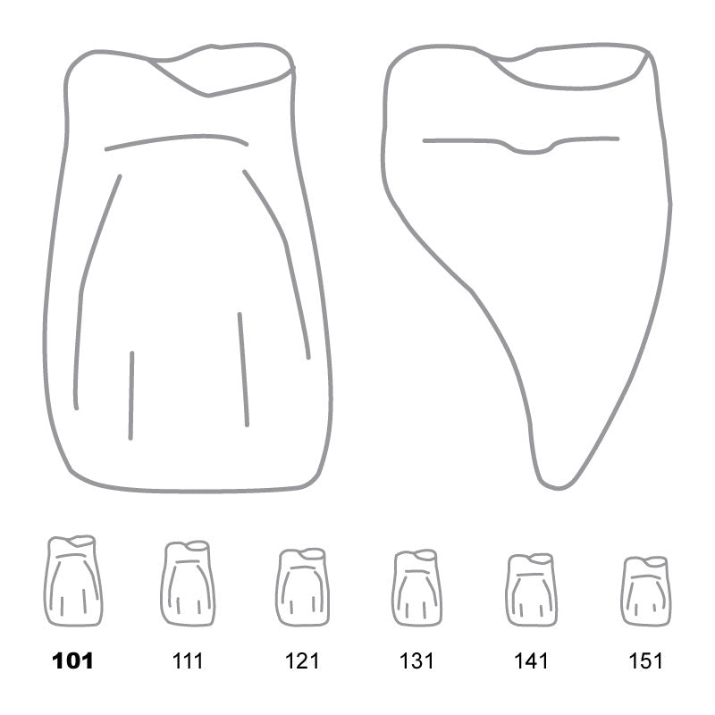 Odus Pella Transparent Crown Forms Central-Cervical Part Enlarged 101 