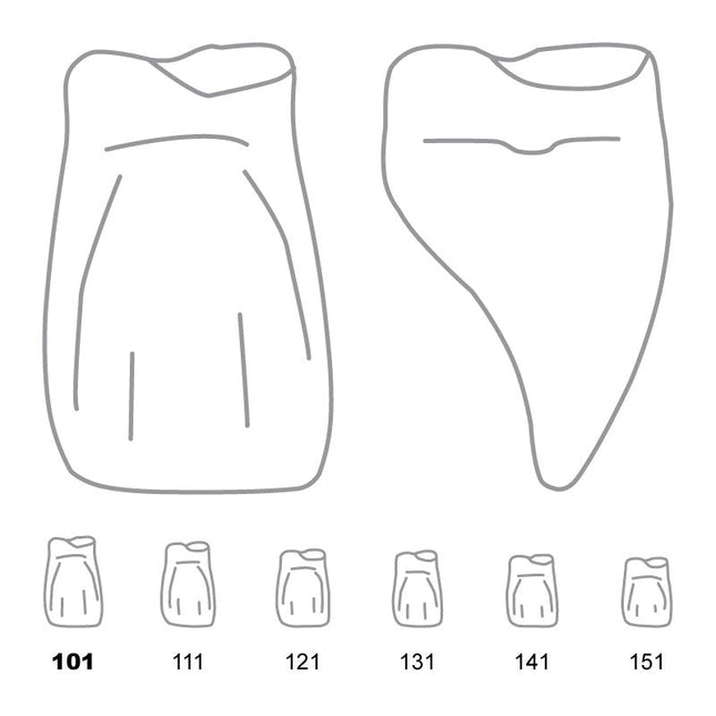 Odus Pella Transparent Crown Forms Central-Cervical Part Enlarged 101 