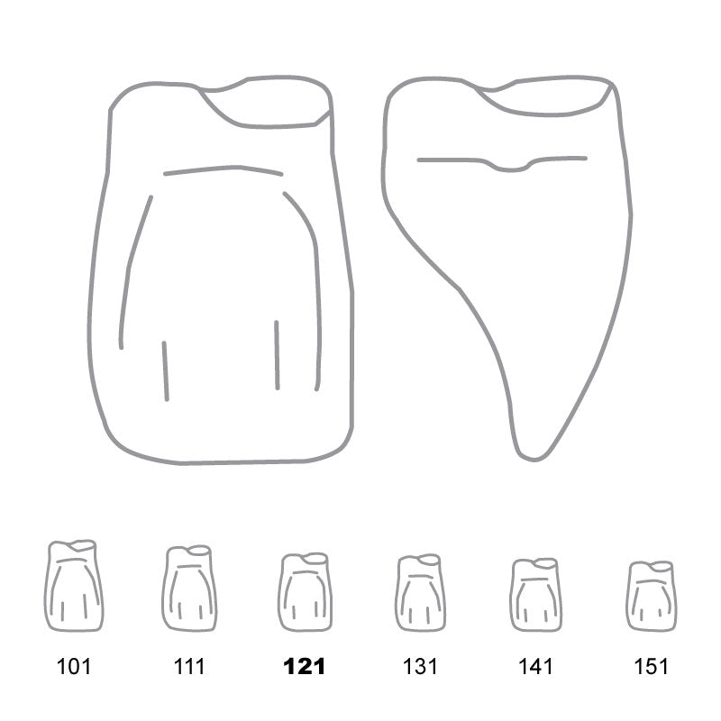Odus Pella Transparent Crown Forms Central-Cervical Part Enlarged 121 