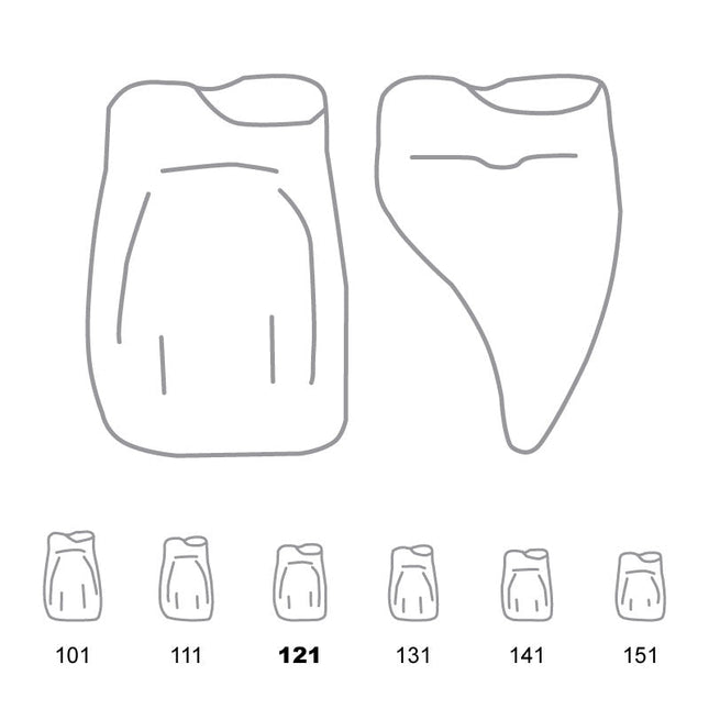 Odus Pella Transparent Crown Forms Central-Cervical Part Enlarged 121 