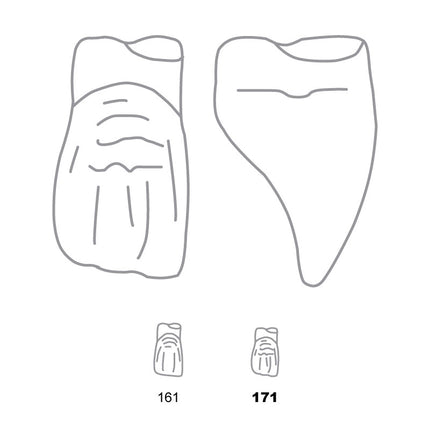Odus Pella Transparent Crown Forms Extra Large Centrals 171 