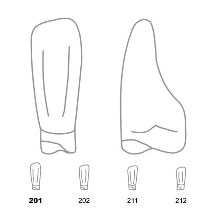 Odus Pella Transparent Crown Forms Lower Incisors 201 
