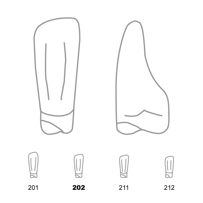 Odus Pella Transparent Crown Forms Lower Incisors 202 