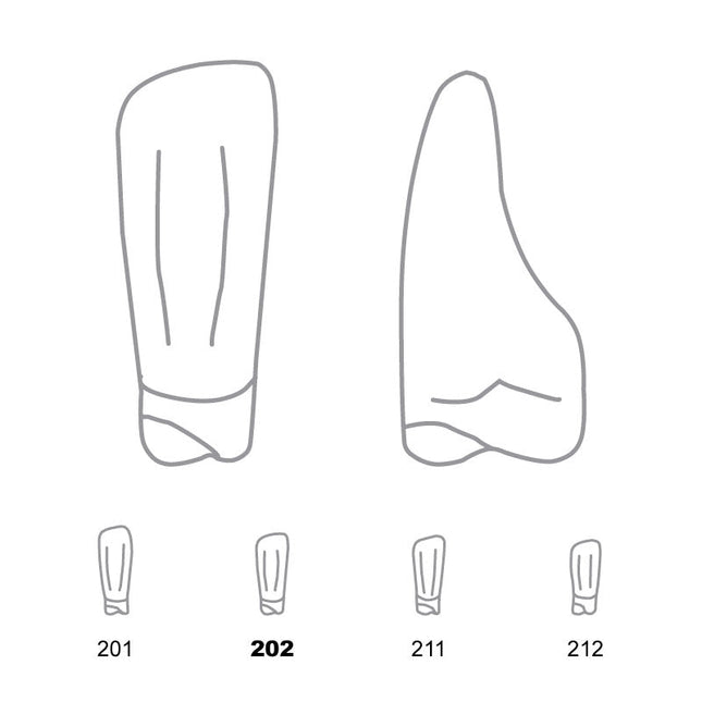 Odus Pella Transparent Crown Forms Lower Incisors 202 
