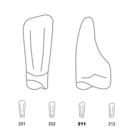 Odus Pella Transparent Crown Forms Lower Incisors 211 