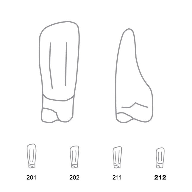 Odus Pella Transparent Crown Forms Lower Incisors 212 