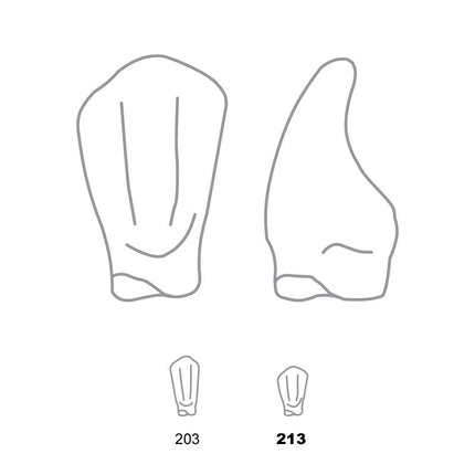 Odus Pella Transparent Crown Forms Lower Canines 213 