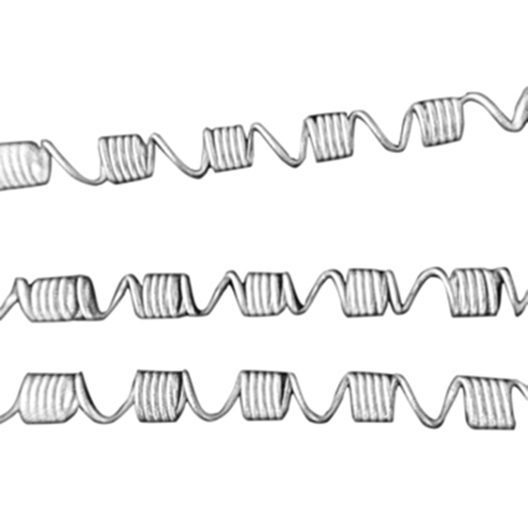 NiTi Open Coil Spring 10x45 